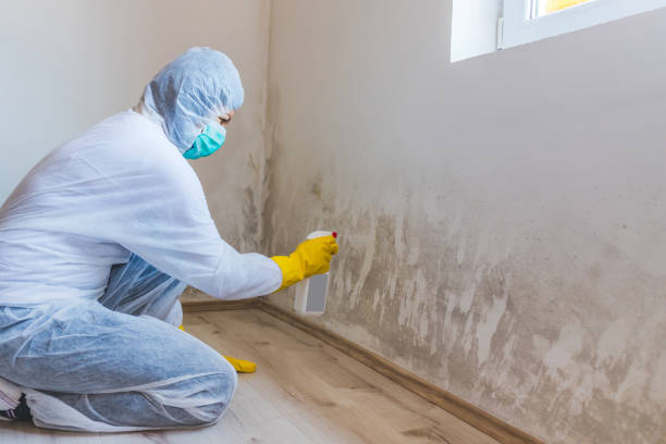 Bathroom Mold Removal assessment in Marysville bathroom